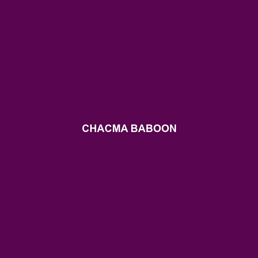 Chacma Baboon