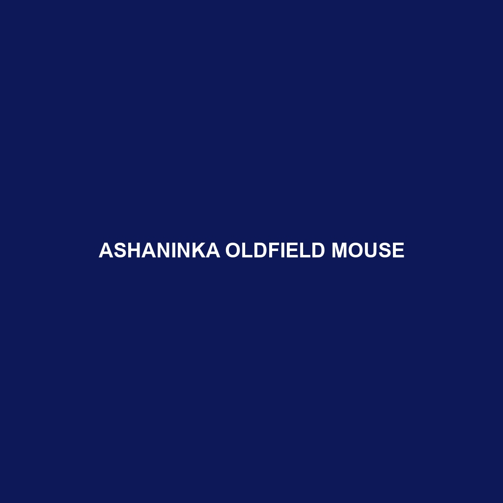 Ashaninka Oldfield Mouse