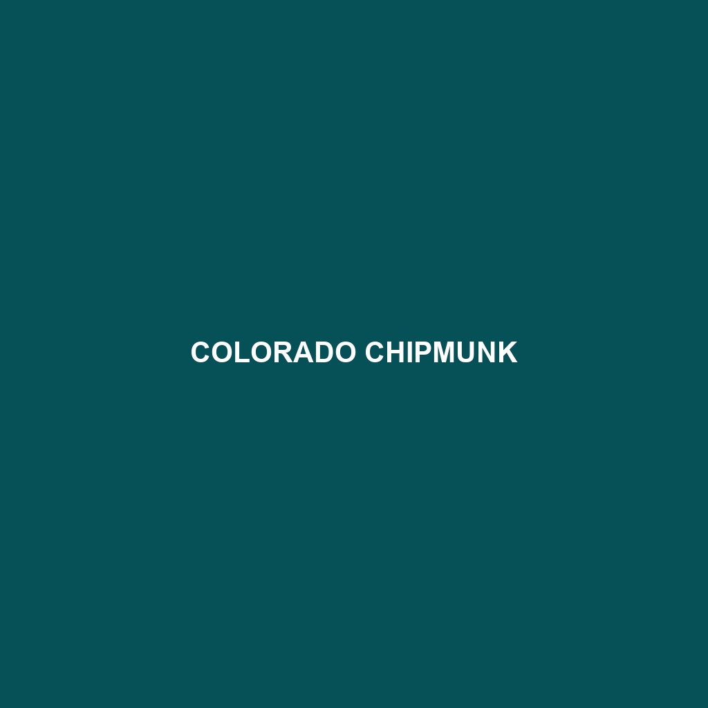 Colorado Chipmunk