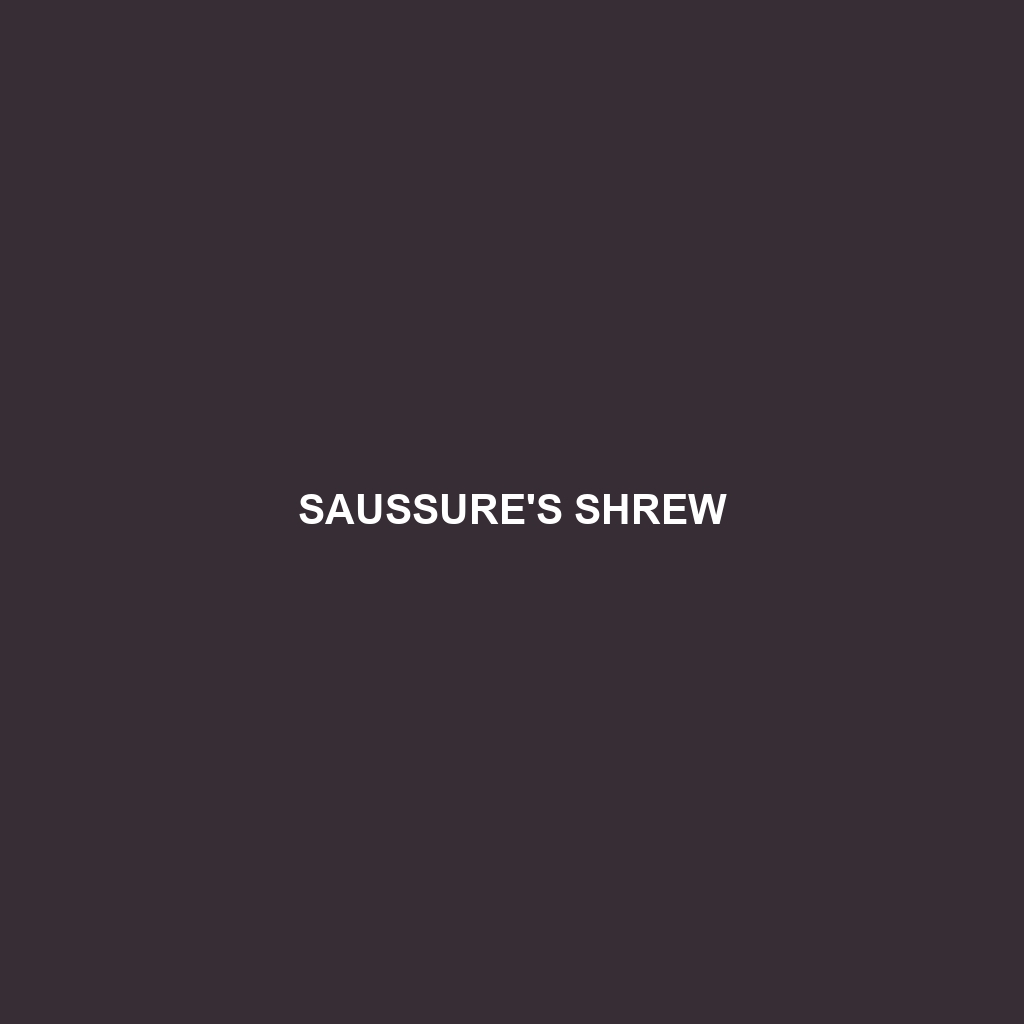 Saussure's Shrew