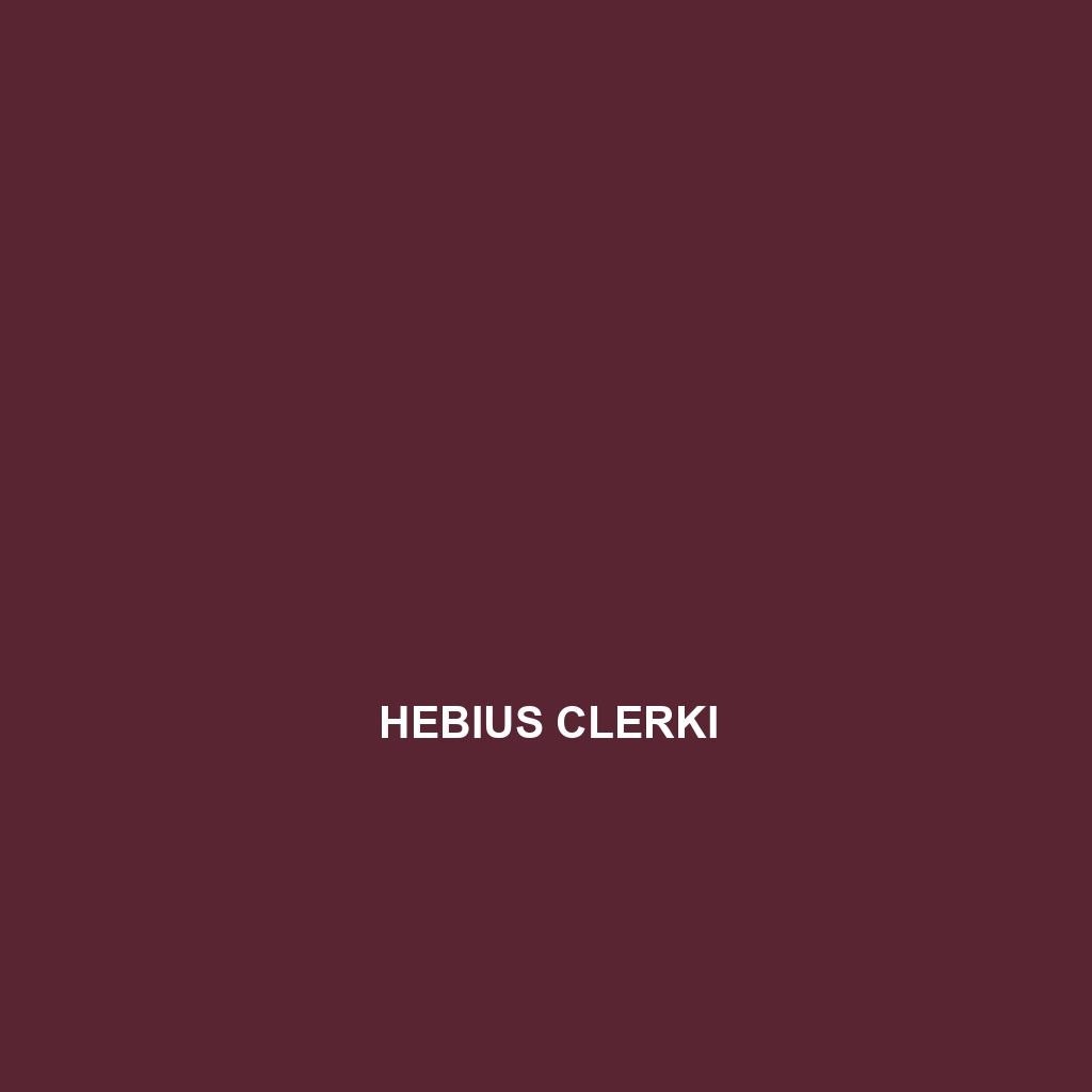 Hebius clerki