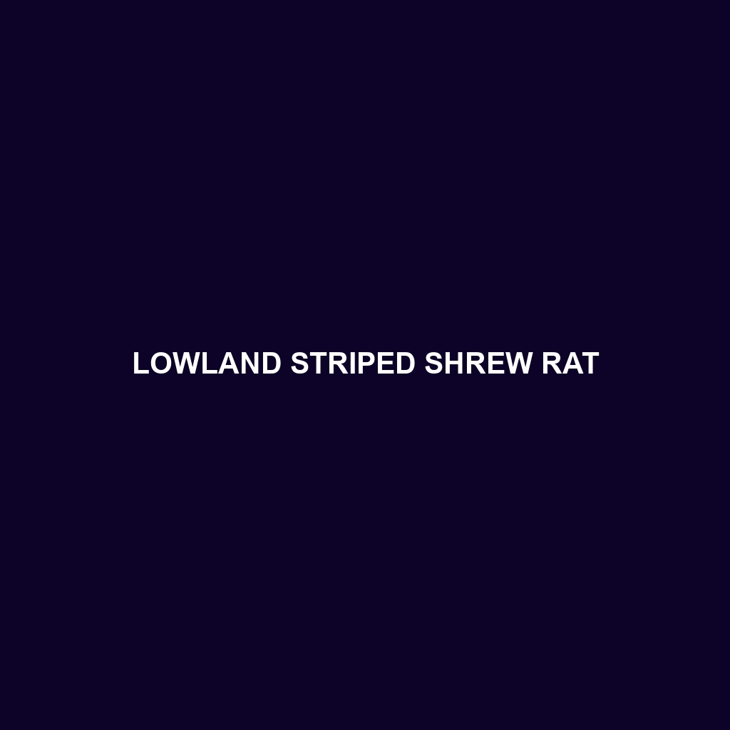 Lowland Striped Shrew Rat