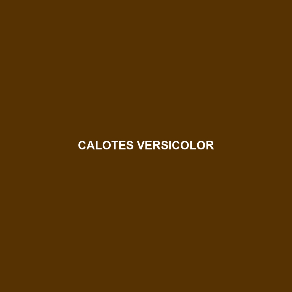 Calotes versicolor