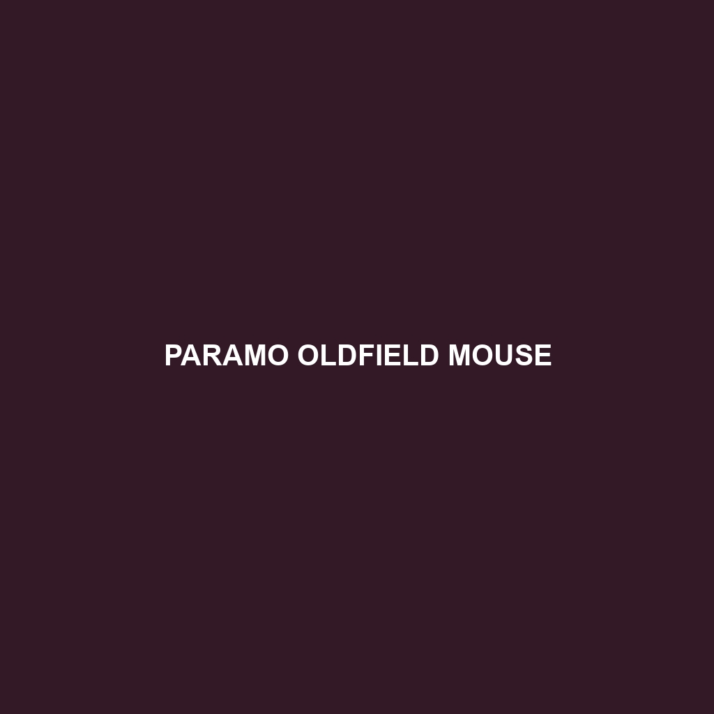 Paramo Oldfield Mouse