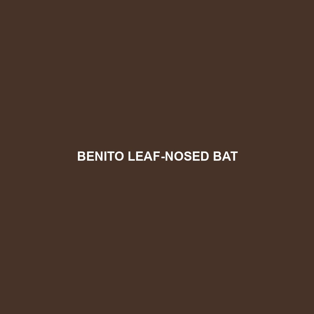 Benito Leaf-nosed Bat