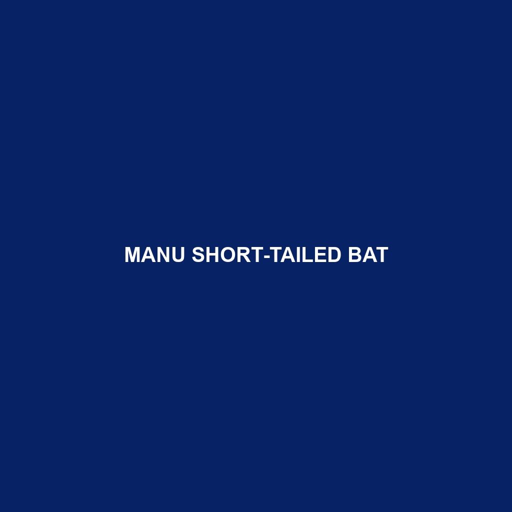 Manu Short-tailed Bat