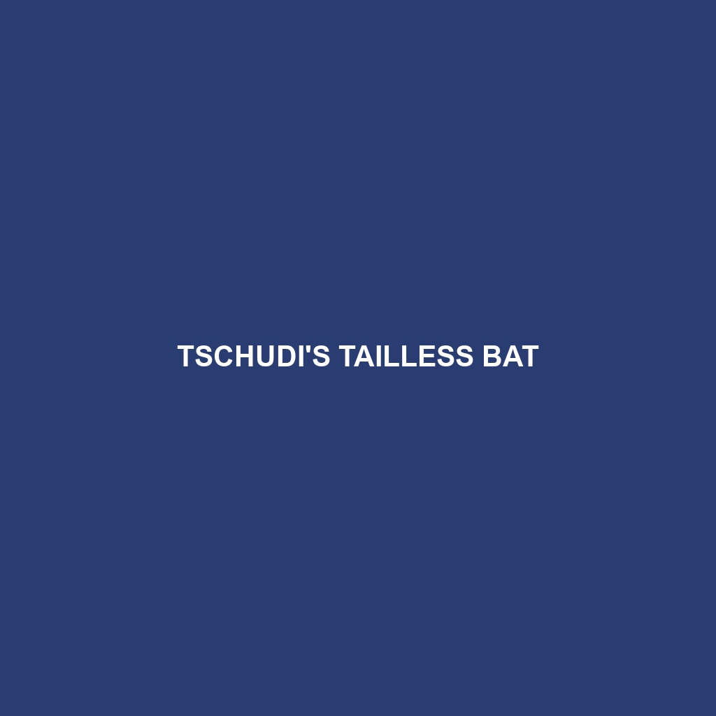 Tschudi's Tailless Bat