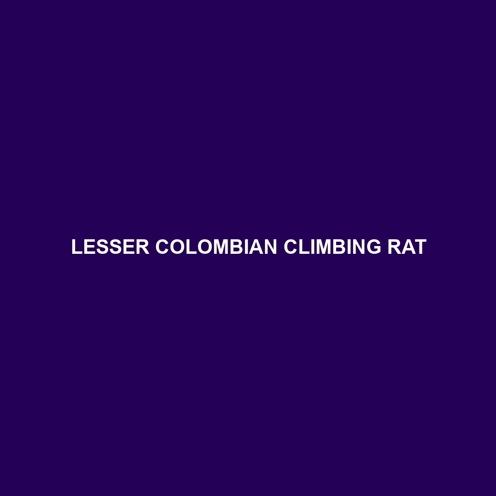 Lesser Colombian Climbing Rat