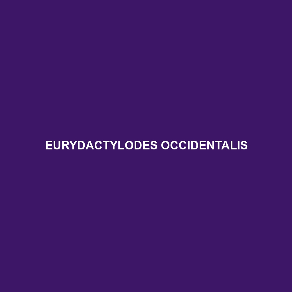 Eurydactylodes occidentalis