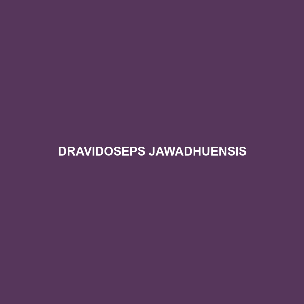 Dravidoseps jawadhuensis