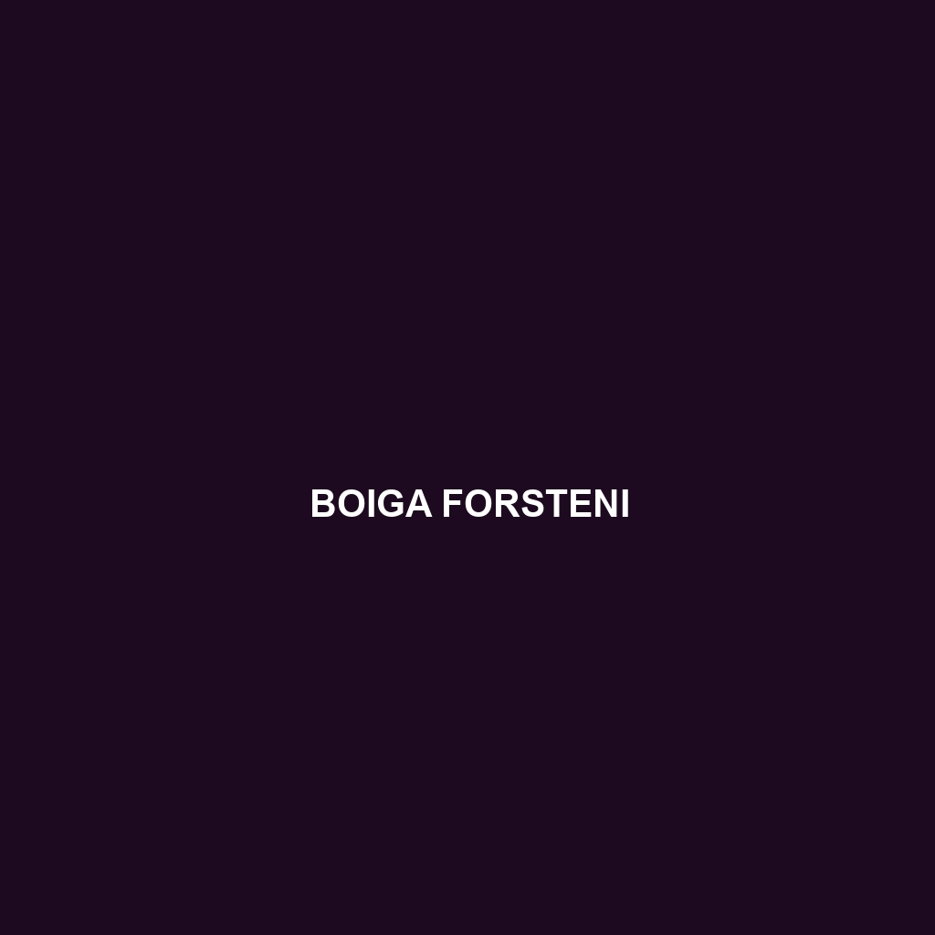 Boiga forsteni