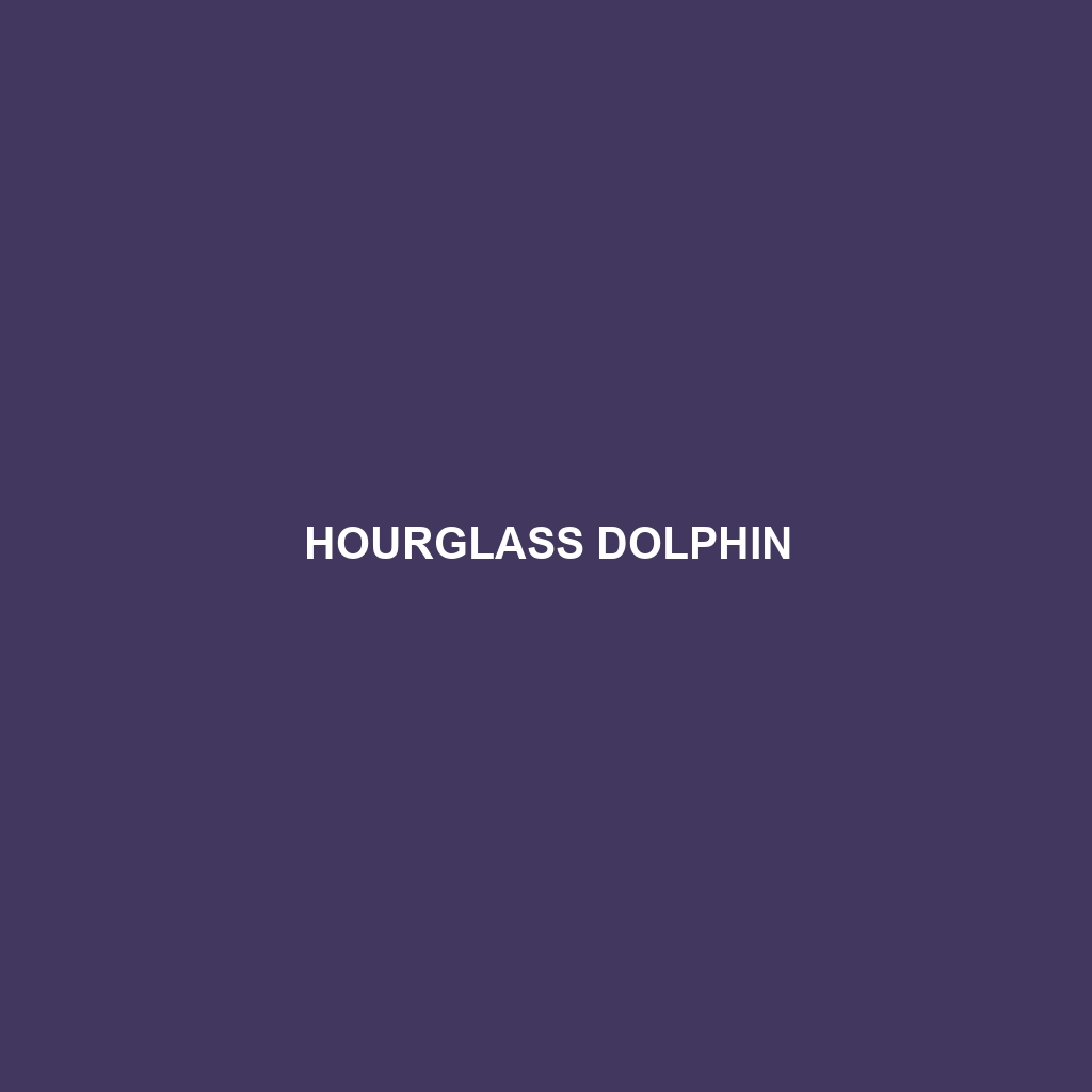 Hourglass Dolphin