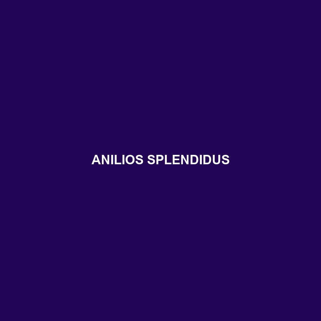 Anilios splendidus