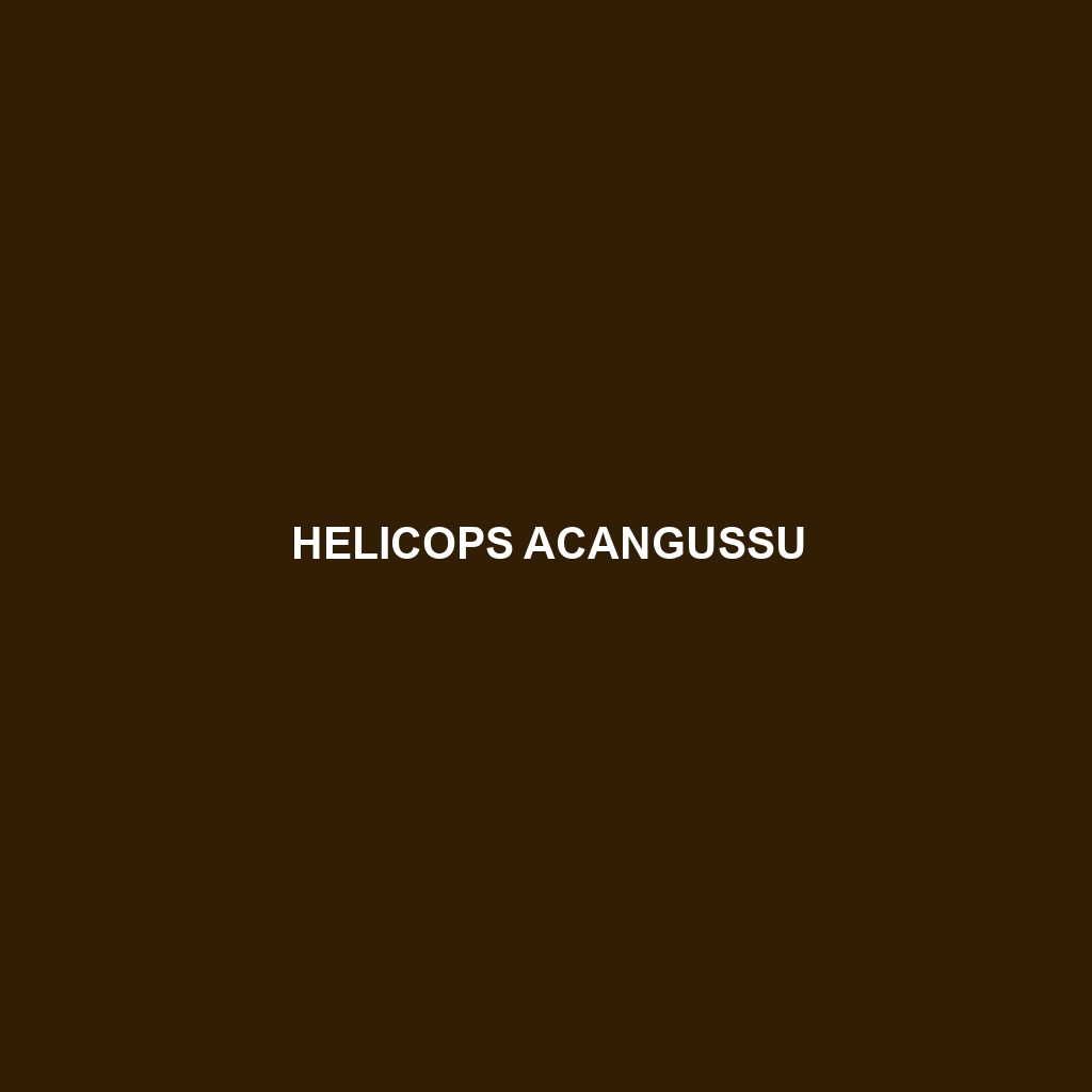 Helicops acangussu