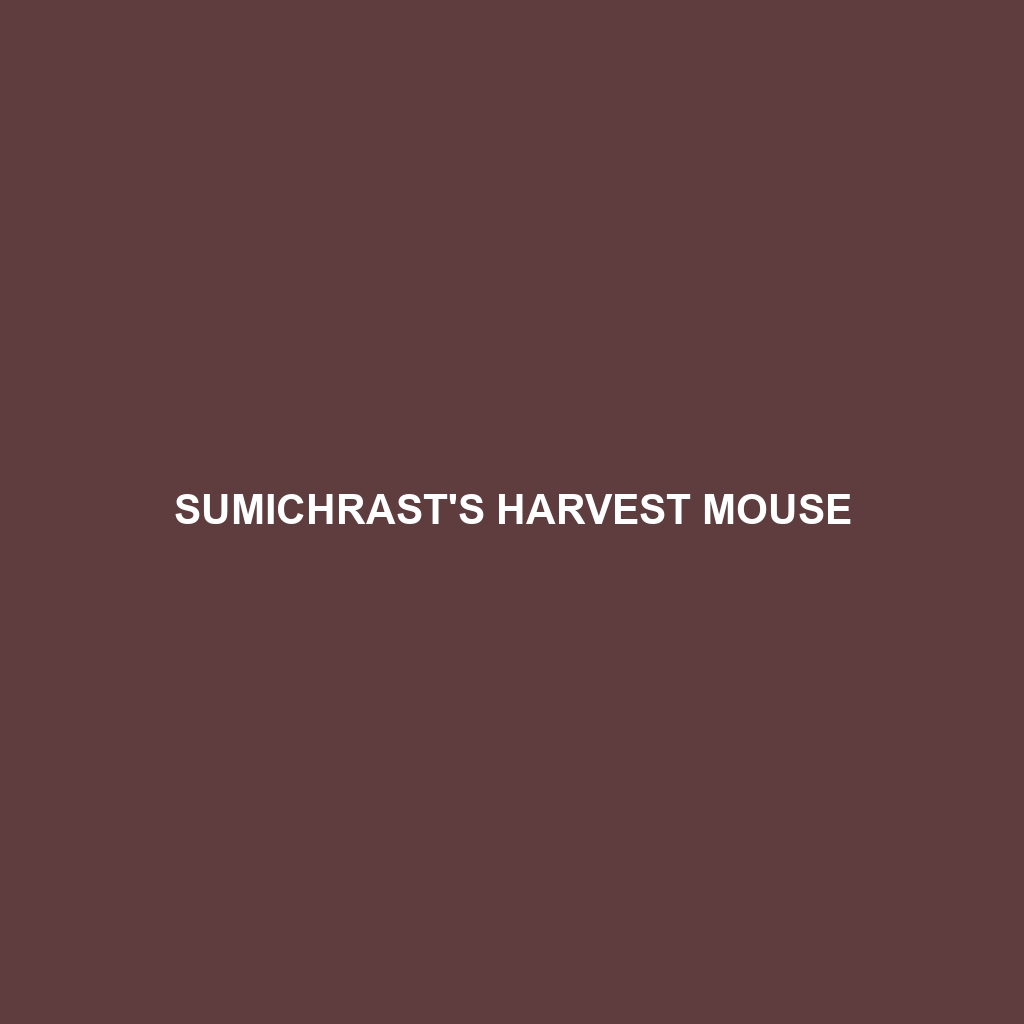 Sumichrast's Harvest Mouse