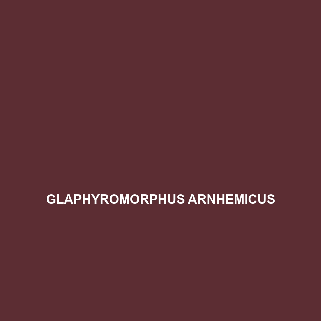 Glaphyromorphus arnhemicus