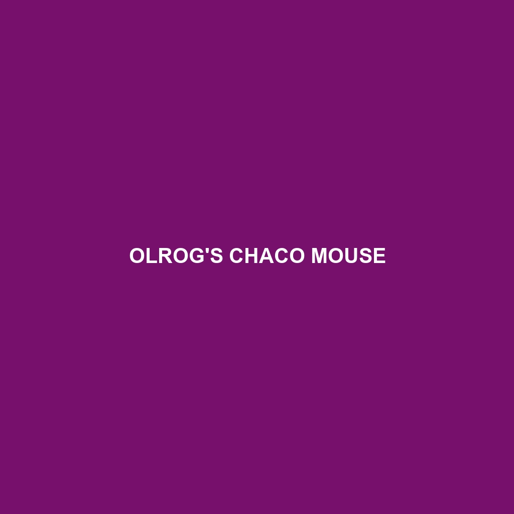 Olrog's Chaco Mouse