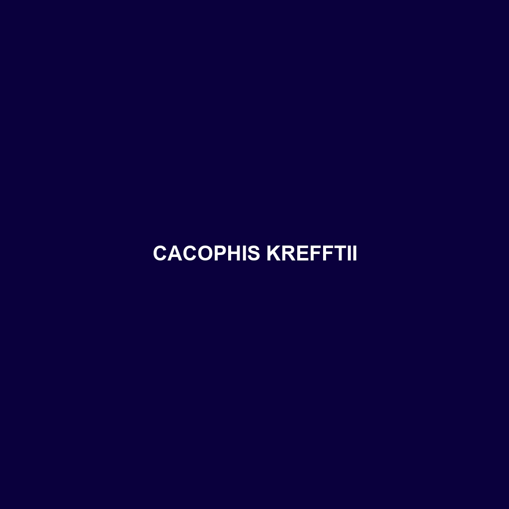 Cacophis krefftii