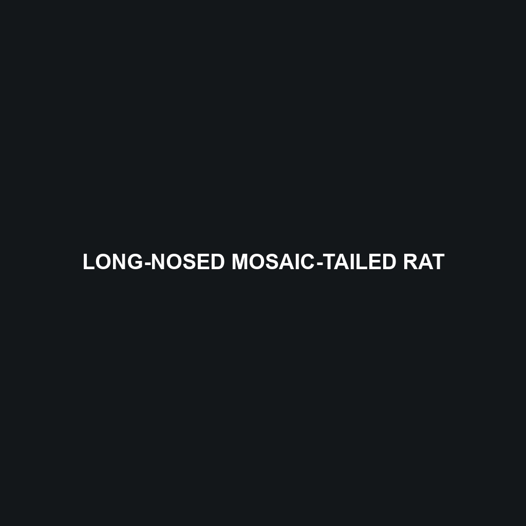 Long-nosed Mosaic-tailed Rat