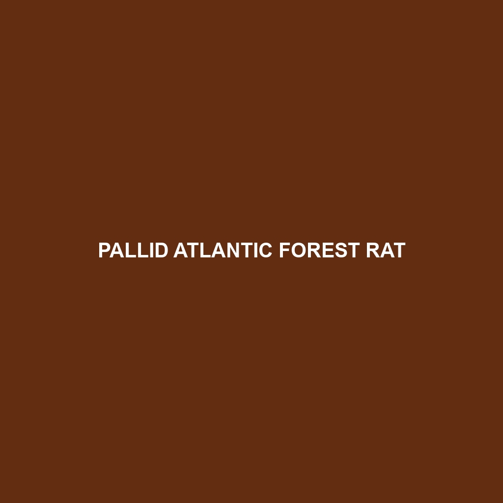 Pallid Atlantic Forest Rat