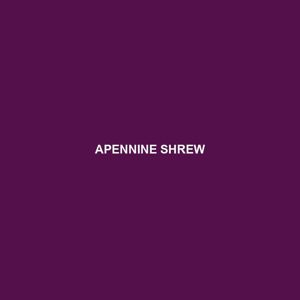 Apennine Shrew