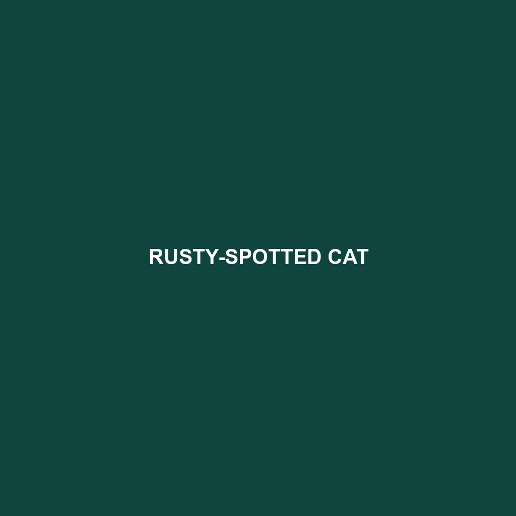 Rusty-spotted Cat