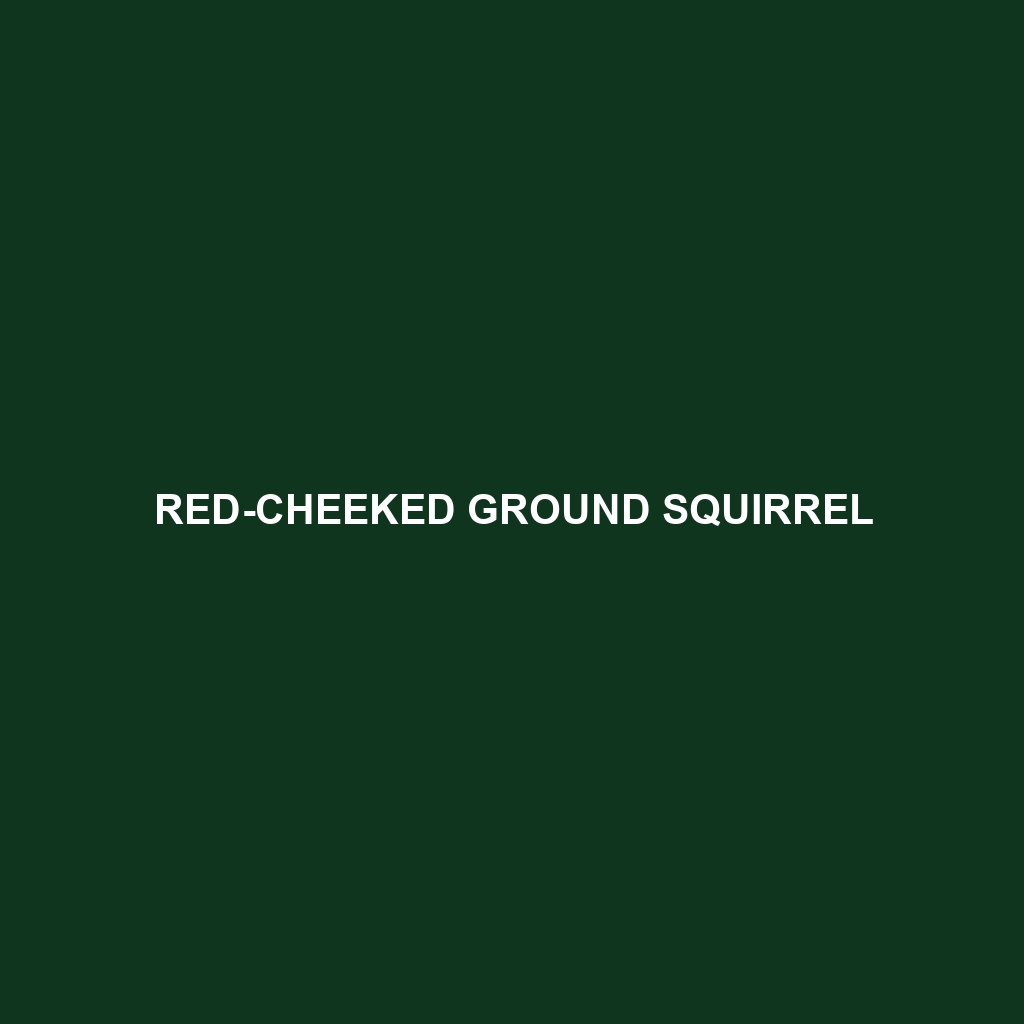 Red-cheeked Ground Squirrel