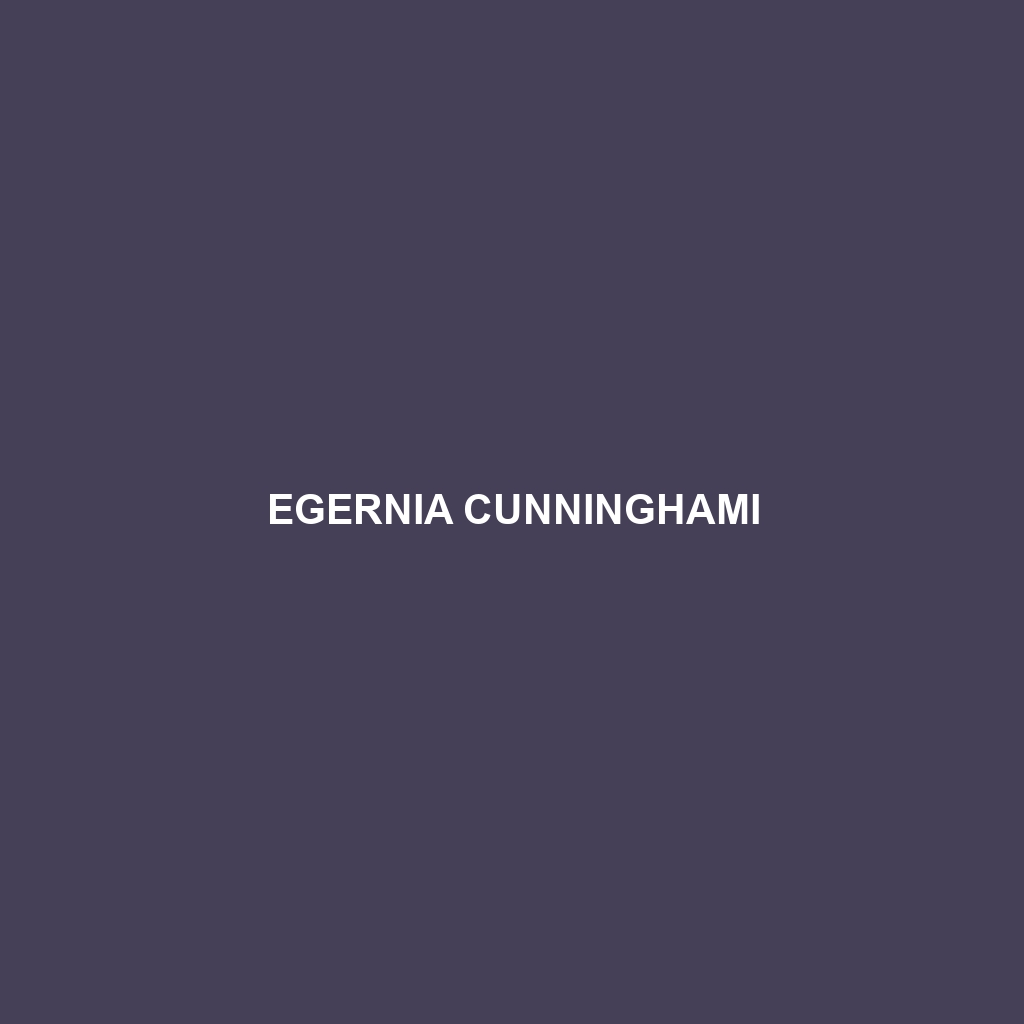 Egernia cunninghami