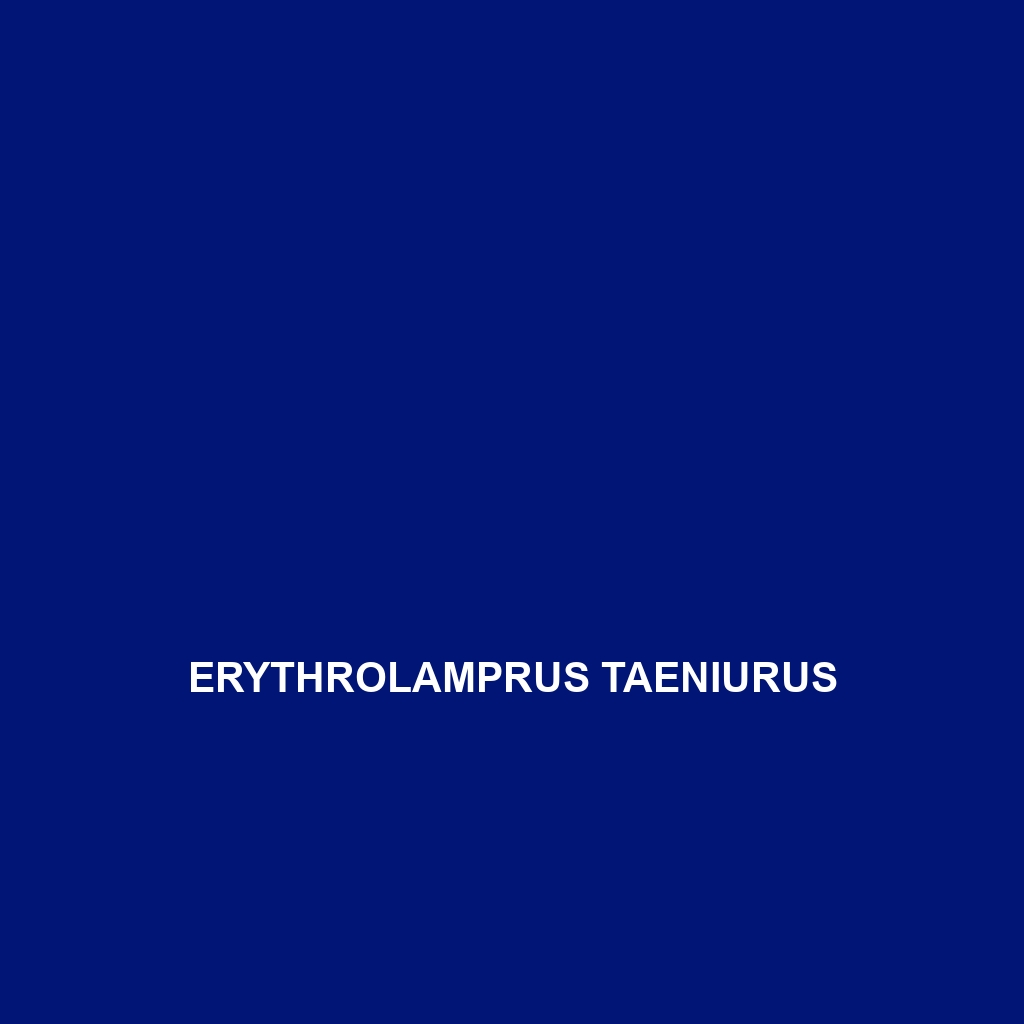 Erythrolamprus taeniurus