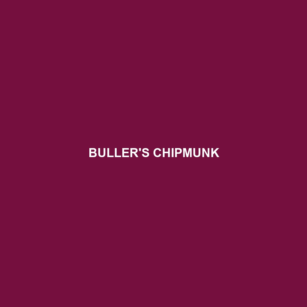 Buller's Chipmunk