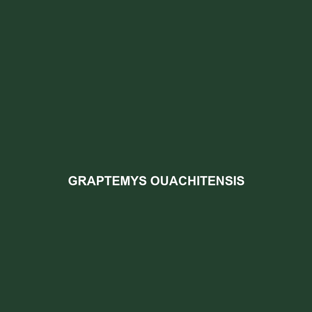 Graptemys ouachitensis