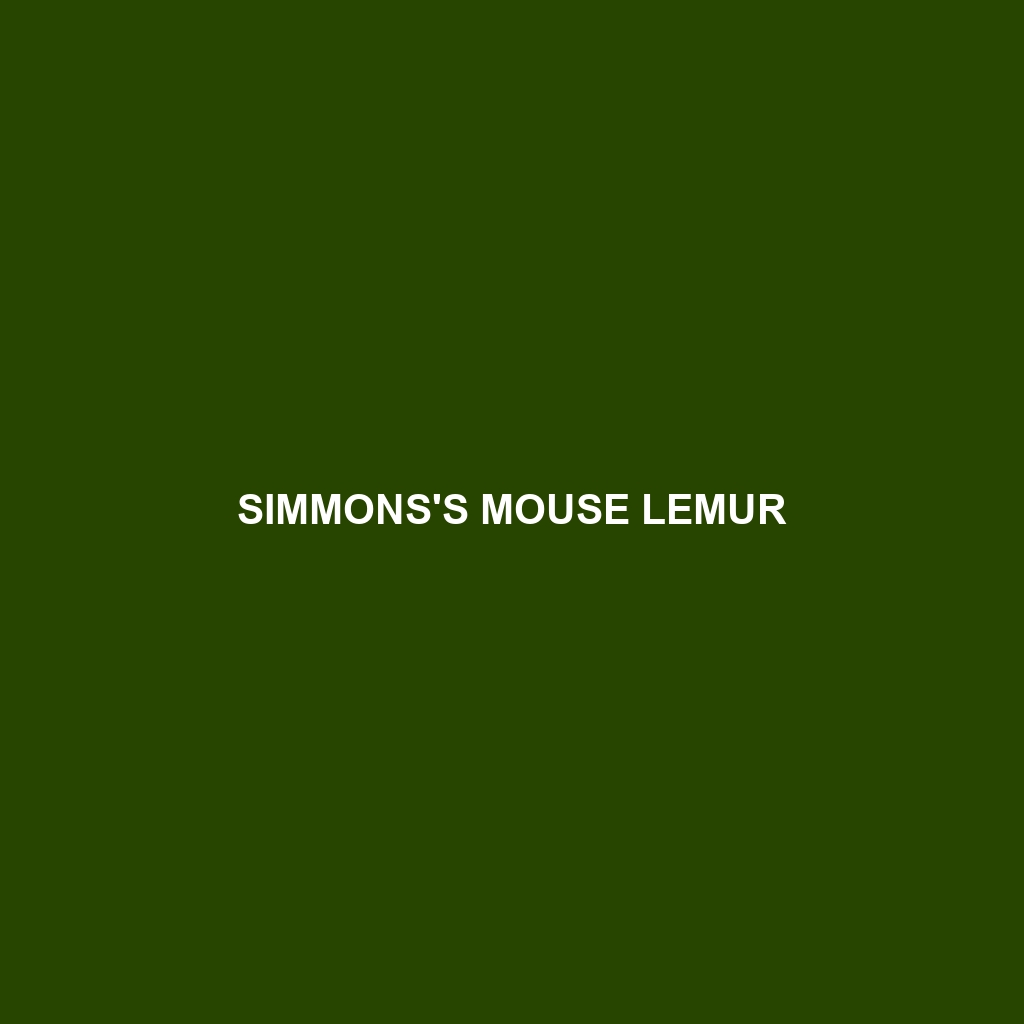 Simmons's Mouse Lemur