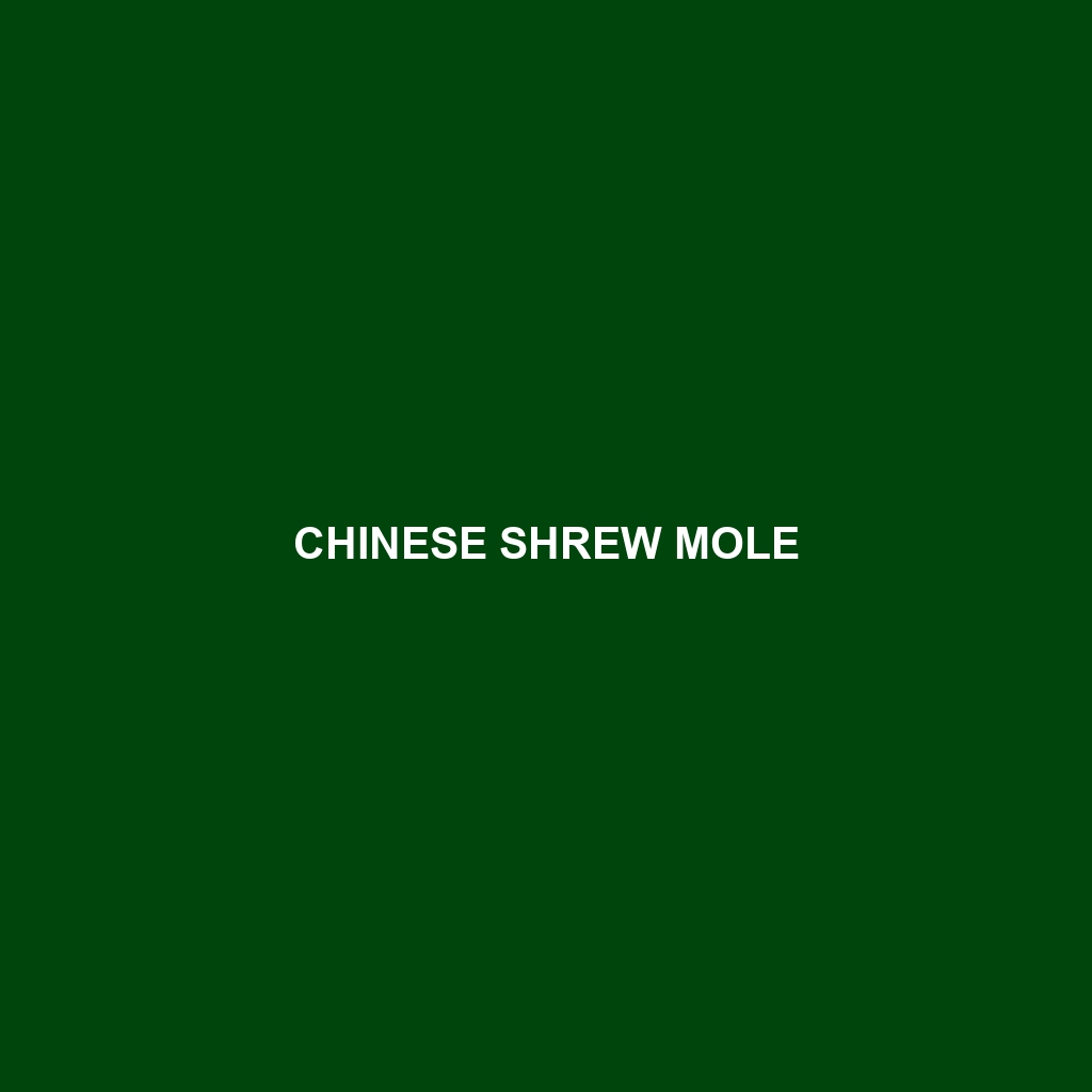 Chinese Shrew Mole