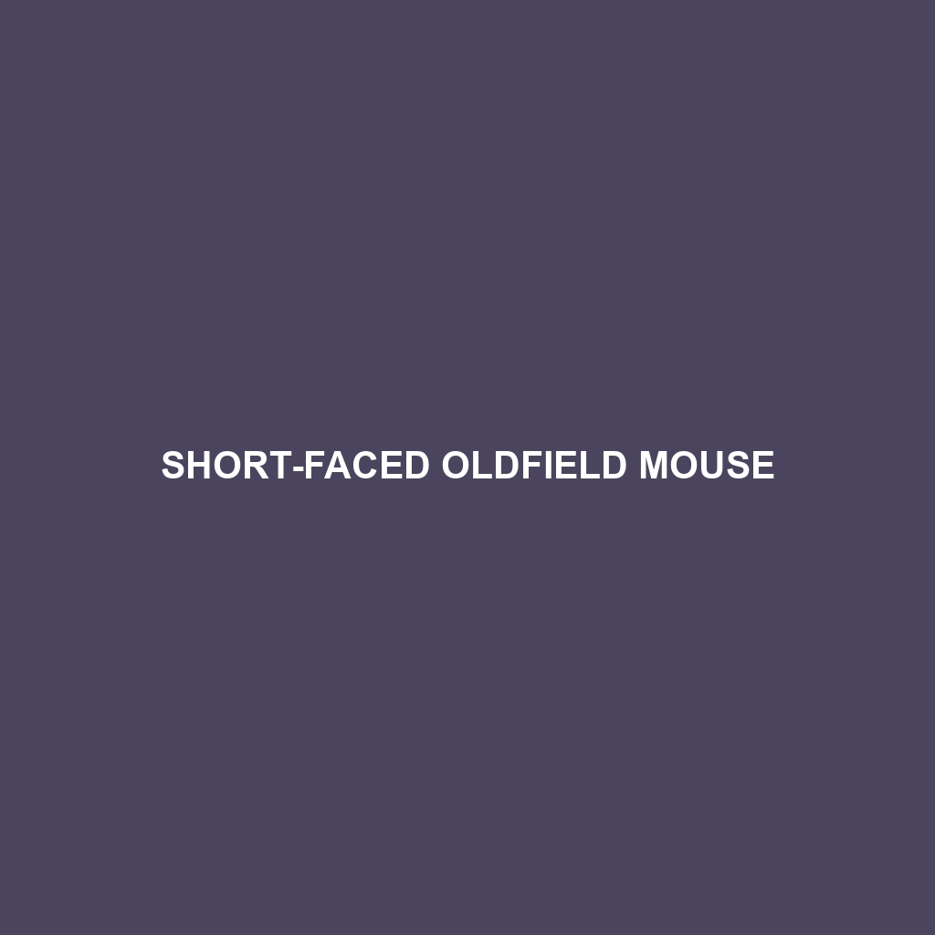 Short-faced Oldfield Mouse