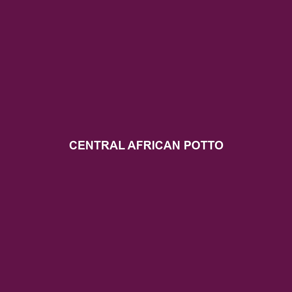 Central African Potto