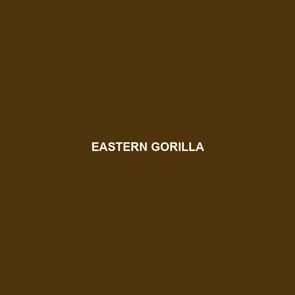 Eastern Gorilla