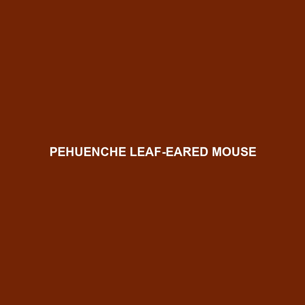 Pehuenche Leaf-eared Mouse