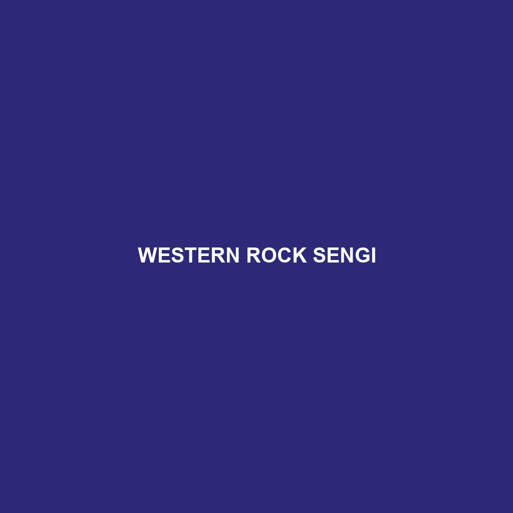 Western Rock Sengi