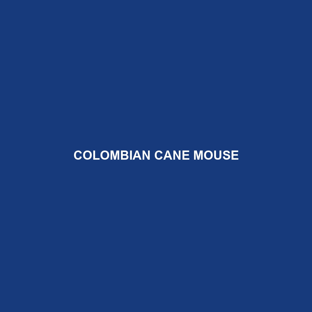 Colombian Cane Mouse