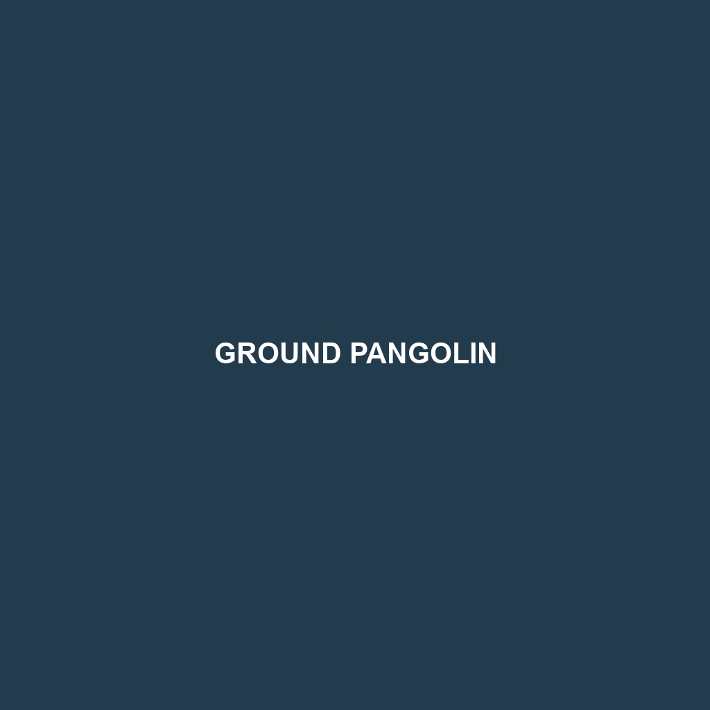 Ground Pangolin