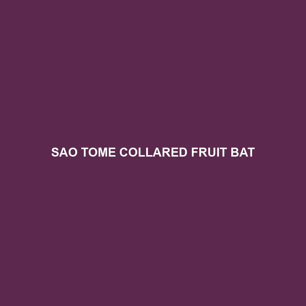 Sao Tome Collared Fruit Bat