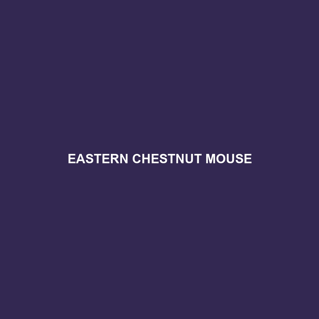 Eastern Chestnut Mouse