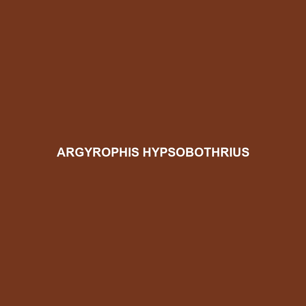 Argyrophis hypsobothrius