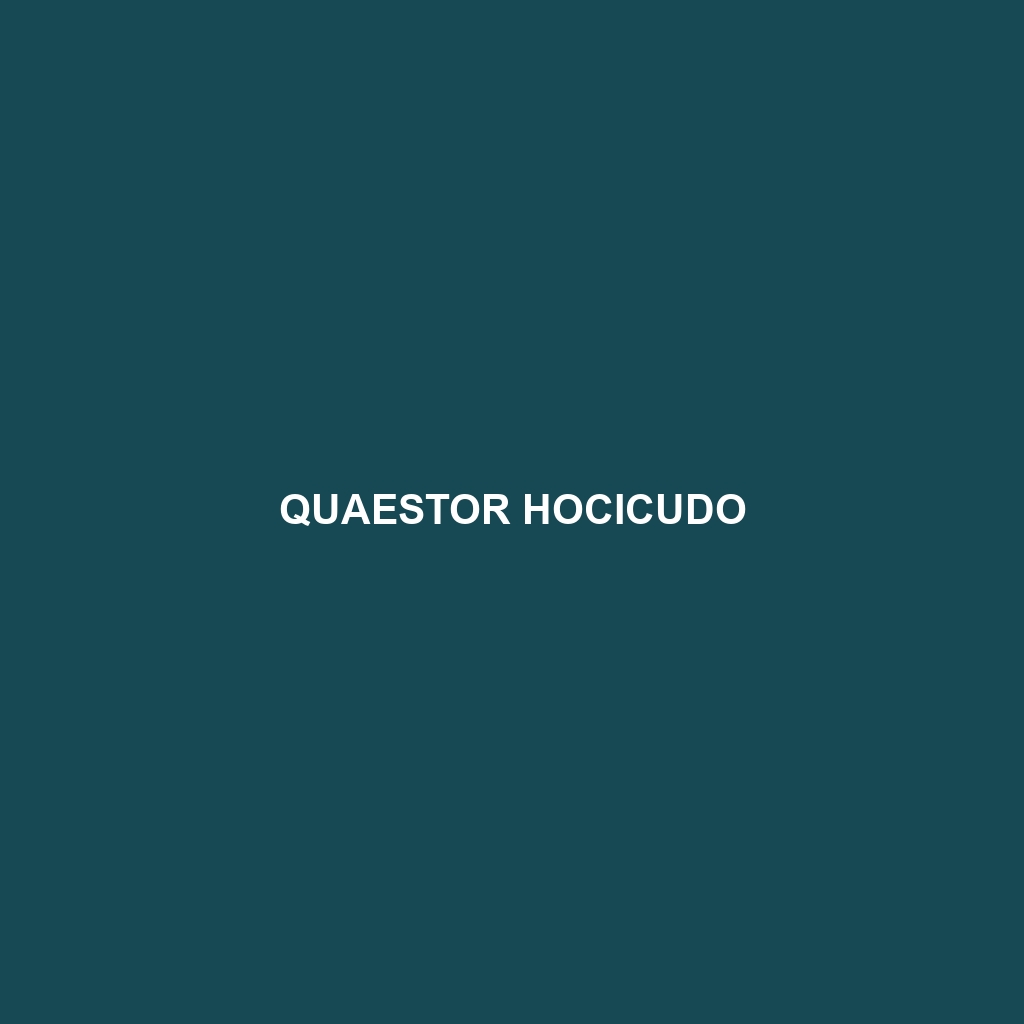 Quaestor Hocicudo