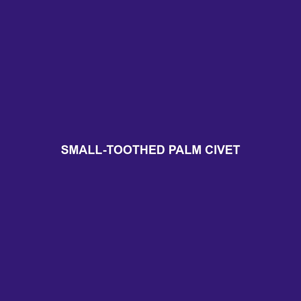 Small-toothed Palm Civet