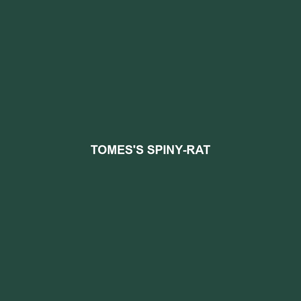 Tomes's Spiny-rat