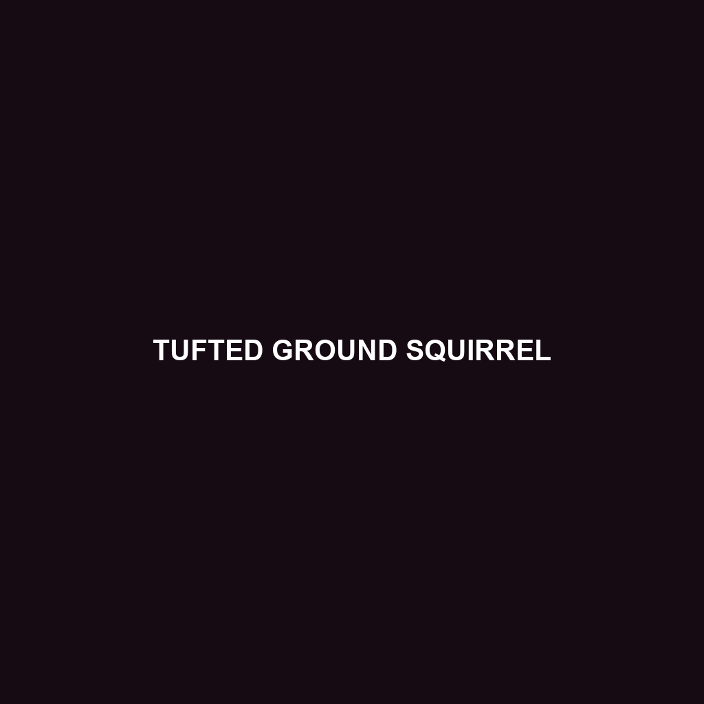 Abert's Squirrel