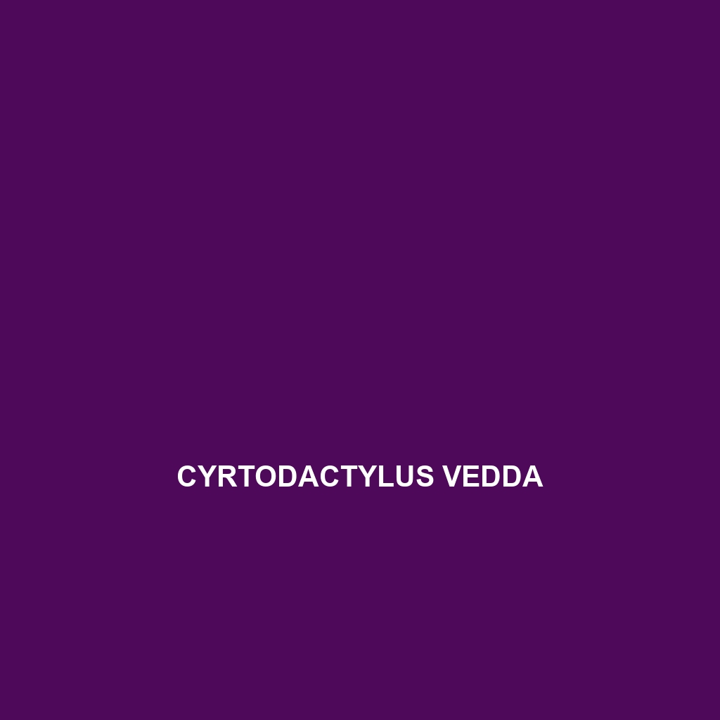 Cyrtodactylus vedda