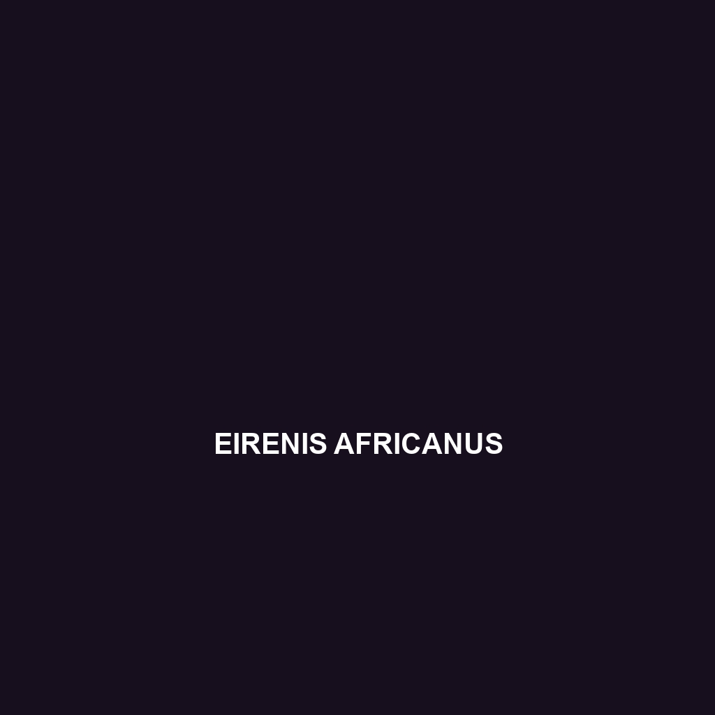 Eirenis africanus