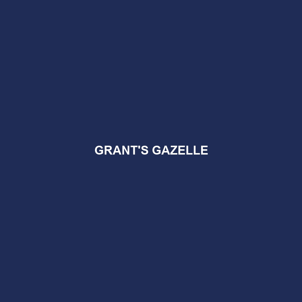 Grant's Gazelle